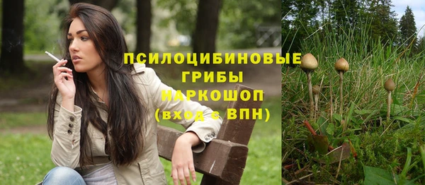 мдпв Богданович