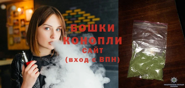 мдпв Богданович
