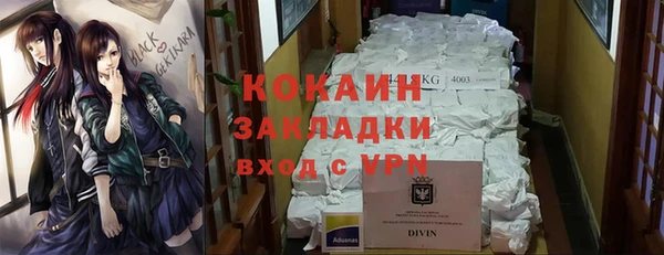 мдпв Богданович